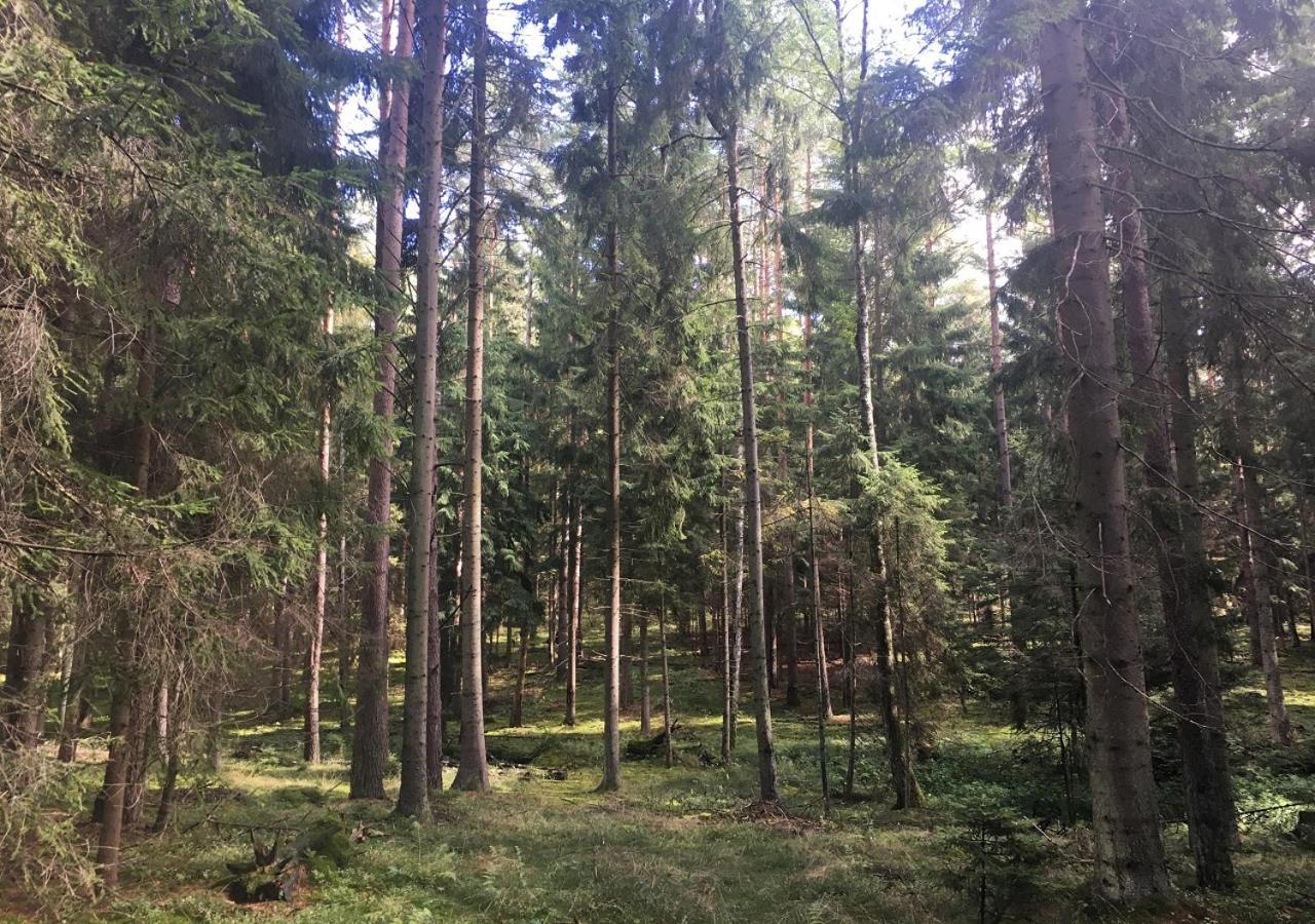 Holiday home Mazurowka Romana